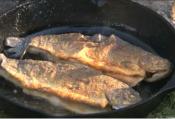 Fried Trout Grenoble